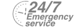 24/7 Emergency Service Pest Control in Tilbury, East Tilbury, West Tilbury, RM18. Call Now! 020 8166 9746