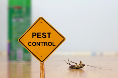 Pest Contol in Tilbury, East Tilbury, West Tilbury, RM18. Call Now 020 8166 9746